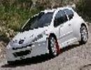 Peugeot 207 Super 2000 2000