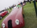 Alfa Romeo 8C 2900B 1937